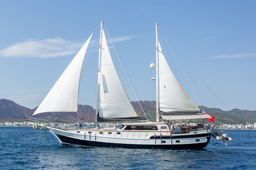 Grand Sailor Photo 4